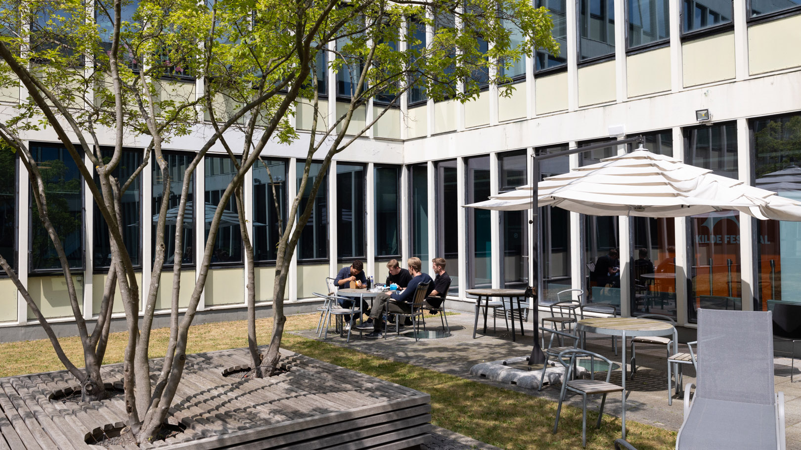 Sommer i bibliotekshaven 