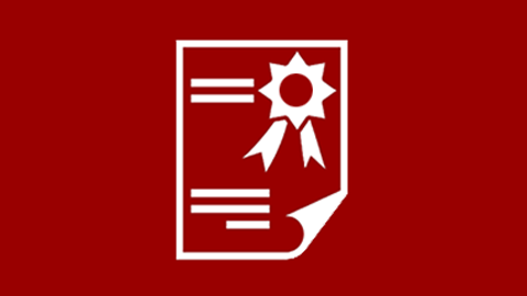Afhandling
